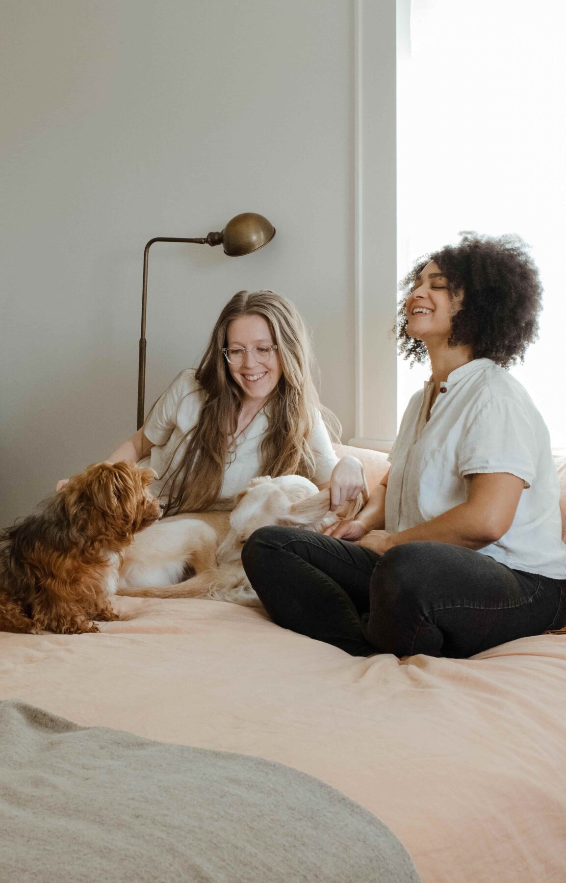 Two women sit on a bed smiling and petting two small dogs. They appear relaxed and happy in a bright, cozy room with a lamp and a large window in the background.